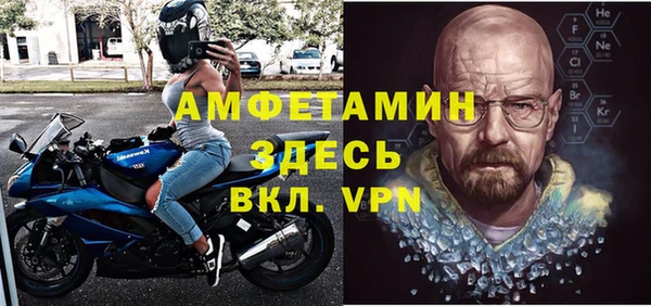 шишки Верхний Тагил