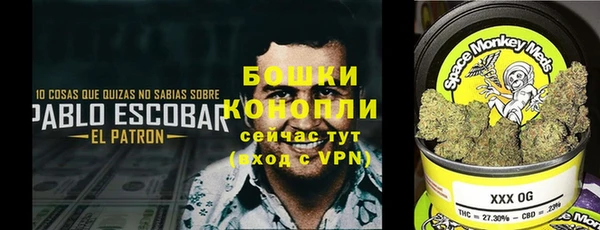 гидропоника Бронницы